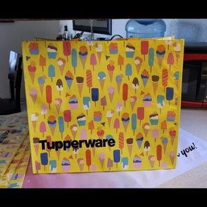 TUPPERWARE NEW! REUSABLE ECO ICE CREAM DESIGN JUMBO BAGS (4)